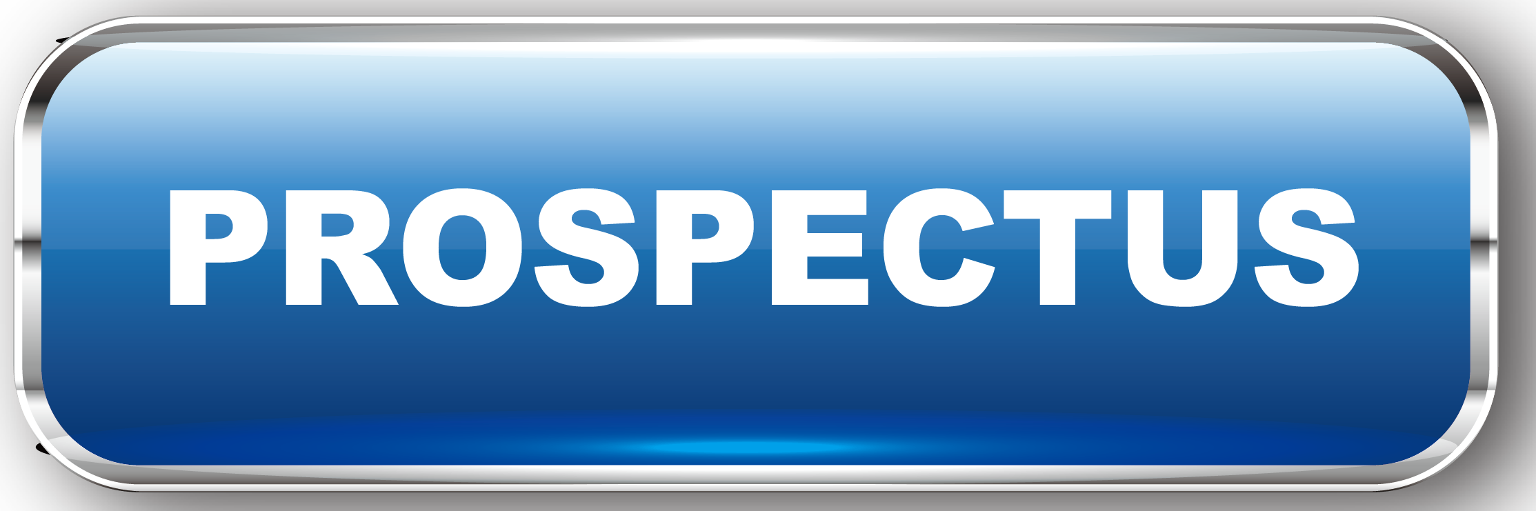PROSPECTUS BUTTON